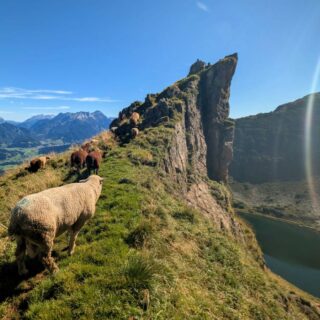 Bezaubernder, fantastischer Start in den September in der wunderschönen #Bergwelt der #KitzbühelerAlpen. 
Ein Traum, wie volle scheeeeeeeeeee es bei uns ist.
#GästehausElisabethFieberbrunn
#FerienwohnungSaalbachFieberbrunn
#PillerseeTal #Fieberbrunn #Tirol