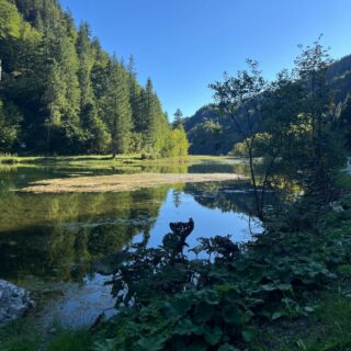 Welch wunderschöne Momente dürfen wir in unserer traumhaften Bergwelt erleben #einfachnurbärig.
Das Leben genießen in der #KitzbühelerAlpen
#GästehausElisabethFieberbrunn
#FerienwohnungSaalbachFieberbrunn
#PillerseeTal #Fieberbrunn #Tirol