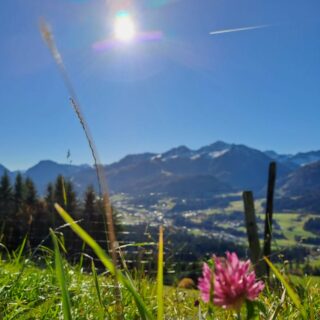 Auf den #Bergen der erste Schnee. Die ganze Woche strahlender #Sonnenschein und blauer #Himmel, volle scheeeeeeee. #einfachnurbärig.
Das Leben genießen in den #KitzbühelerAlpen
#GästehausElisabethFieberbrunn
#FerienwohnungSaalbachFieberbrunn
#PillerseeTal #Fieberbrunn #Tirol