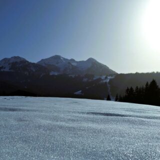 Es ist so volle scheeeeeeeee bei uns in der wunderschönen #Tiroler #Bergwelt, einfach nur ein Traum, 
Das Leben genießen in den #KitzbühelerAlpen
im #Skicircus #Saalbach #Hinterglemm #Leogang #Fieberbrunn
#einfachnurbärig.
#GästehausElisabethFieberbrunn
#FerienwohnungSaalbachFieberbrunn
#PillerseeTal #Fieberbrunn #Tirol
#daWerna