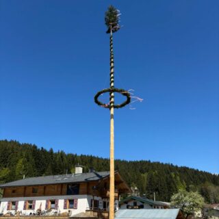 Traditionelles Maibaumaufstellen in Pfaffenschwendt (mit da Werna) und Fieberbrunn (mit Michael) #einfachnurbärig.
Das Leben, die traumhafte Natur und die gesunde Tiroler Bergluft so richtig genießen in den #KitzbühelerAlpen
#GästehausElisabethFieberbrunn
#FerienwohnungSaalbachFieberbrunn
#PillerseeTal #Fieberbrunn #Tirol