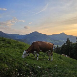 Fantastische Erlebnisse in unserer wunderschönen #Bergwelt, beim Klettern, Paragleiten, bei einer #Sonnenuntergang #Wanderung, usw. #einfachnurbärig.
Das Leben genießen in den #KitzbühelerAlpen
#GästehausElisabethFieberbrunn
#FerienwohnungSaalbachFieberbrunn
#PillerseeTal #Fieberbrunn #Tirol
#daWerna