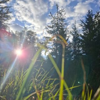 Jeden Tag aufs Neue ein fantastischer wunderschöner #Urlaubstag in unserer traumhaften #Bergwelt.
#einfachnurbärig.
Das Leben genießen in den #KitzbühelerAlpen
#GästehausElisabethFieberbrunn
#FerienwohnungSaalbachFieberbrunn
#PillerseeTal #Fieberbrunn #Tirol
#daWerna