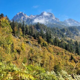 Fantastische, traumhafte, einzigartige, spannende #Wanderung zur #PeterWiechenthalerHütte im #SteinernenMeer.
#einfachnurbärig.
Das Leben genießen in unserer wunderschönen #Bergwelt
#GästehausElisabethFieberbrunn
#FerienwohnungSaalbachFieberbrunn
#PillerseeTal #Fieberbrunn #Tirol
#daWerna