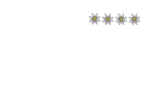 Logo Gästehaus Elisabeth Fieberbrunn Tirol