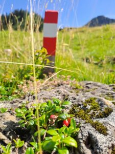 Wanderungen im Pillerseetal in den Kitzbüheler Alpen