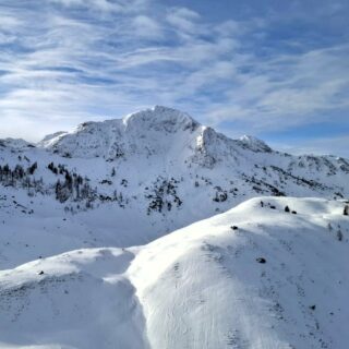 Frischer Pulverschnee, volle scheeeeeeeee #einfachnurbärig im
#Skicircus #Saalbach #Hinterglemm #Leogang #Fieberbrunn
Das Leben genießen in den #KitzbühelerAlpen
#GästehausElisabethFieberbrunn
#FerienwohnungSaalbachFieberbrunn
#PillerseeTal #Fieberbrunn #Tirol
#daWerna